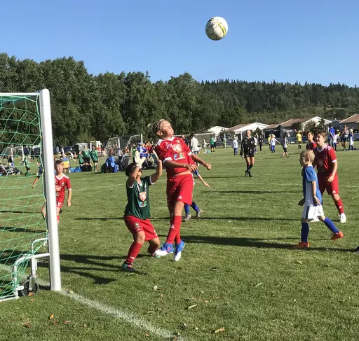 Nabben cup 2018. På fm jämna matcher mot två Skövde AIK-lag i strålande sol. På em tuffare motstånd mot Skultorp och Mullsjö i molnigt väder med lite regn på slutet. Glada miner som vanligt ändå!