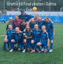 Glada final vinnare av Gothia Cup B-final. 