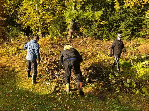 Idrottsparken en härlig höstdag 2019