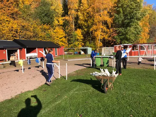Unga som gamla medlemmar slöt upp denna soliga och ovanligt varma oktobermorgon för att iordningställa Idrottsparken efter ännu en avslutat säsong.