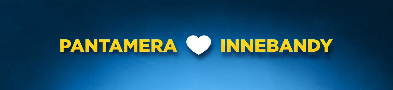 Pantamera.nu