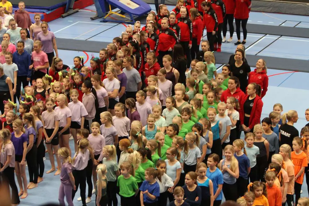 Några av våra fantastiska gymnaster ❤