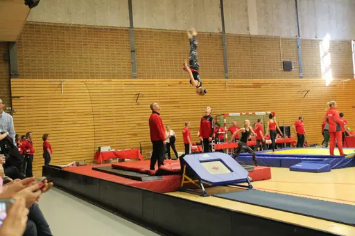 Trupp Indigo (Annie, Beata, Ebba, Elise, Elsa, Emelie, Hannah, Ingrid, Iris, Leia, Lova, Melina och Tindra) på tävlingen Riksfyran 2018