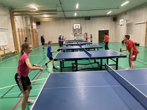 Bild: Händelser och medlemmar i VIF BT i Högåsskolans gymnastiksal. Foto: (1) Emilia Loberg, (2-12) Victor Karlsson/VIF Bordtennis