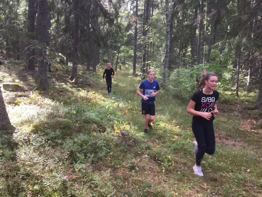 Fysövningar och rullskidor 