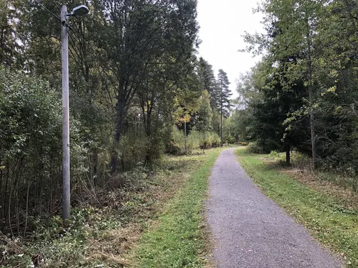 Slyröjning banan runt, invändig ommålning av klubbstugan, Bryta loss sten, kasta gamla gummidäck