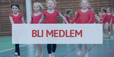 medlem