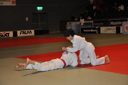 fotografierna är fria att delas/användas för privat bruk samt i judosammanhag dock ej för kommersiellt bruk.