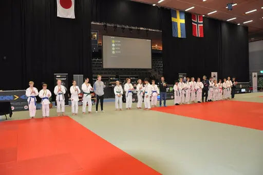 fotografierna är fria att delas/användas för privat bruk samt i judosammanhag dock ej för kommersiellt bruk.