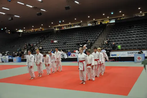 fotografierna är fria att delas/användas för privat bruk samt i judosammanhag dock ej för kommersiellt bruk.