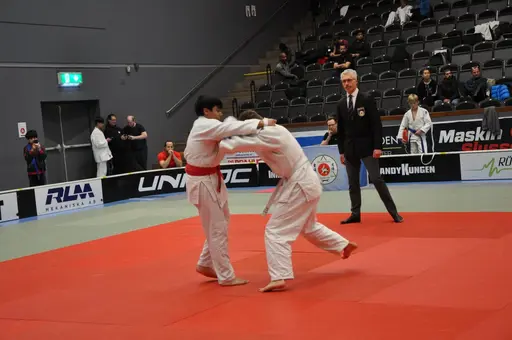 fotografierna är fria att delas/användas för privat bruk samt i judosammanhag dock ej för kommersiellt bruk.