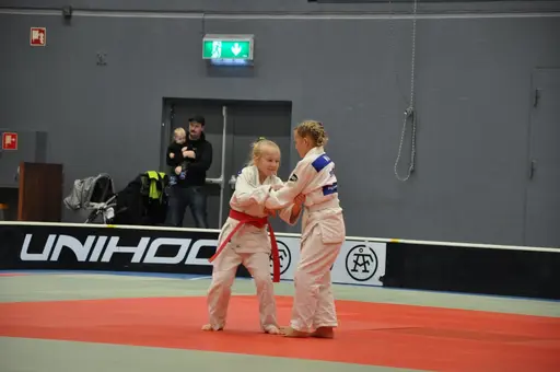 fotografierna är fria att delas/användas för privat bruk samt i judosammanhag dock ej för kommersiellt bruk.