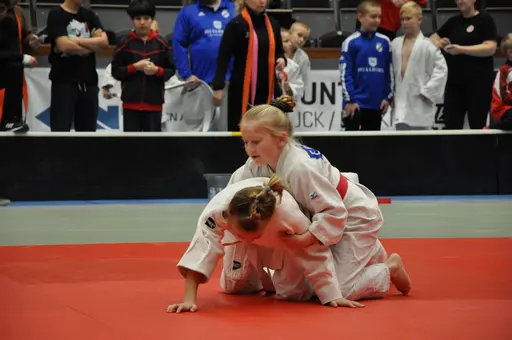 fotografierna är fria att delas/användas för privat bruk samt i judosammanhag dock ej för kommersiellt bruk.