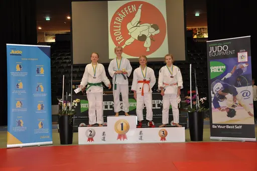 fotografierna är fria att delas/användas för privat bruk samt i judosammanhag dock ej för kommersiellt bruk.