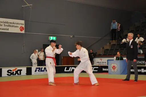 fotografierna är fria att delas/användas för privat bruk samt i judosammanhag dock ej för kommersiellt bruk.