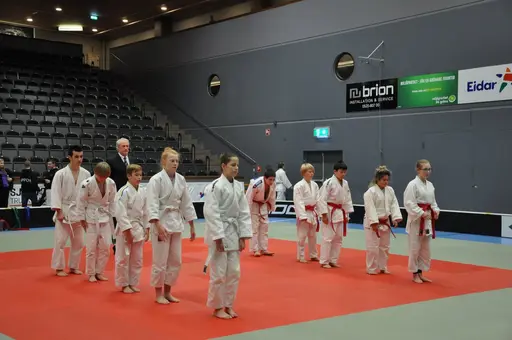 fotografierna är fria att delas/användas för privat bruk samt i judosammanhag dock ej för kommersiellt bruk.