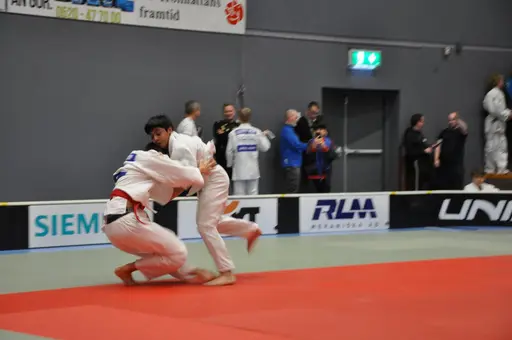 fotografierna är fria att delas/användas för privat bruk samt i judosammanhag dock ej för kommersiellt bruk.