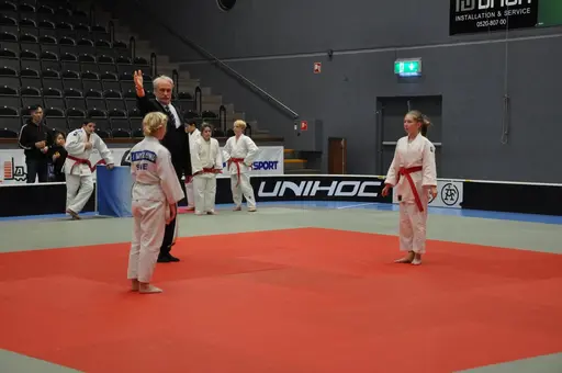 fotografierna är fria att delas/användas för privat bruk samt i judosammanhag dock ej för kommersiellt bruk.