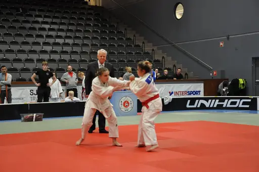 fotografierna är fria att delas/användas för privat bruk samt i judosammanhag dock ej för kommersiellt bruk.