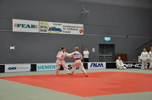 fotografierna är fria att delas/användas för privat bruk samt i judosammanhag dock ej för kommersiellt bruk.