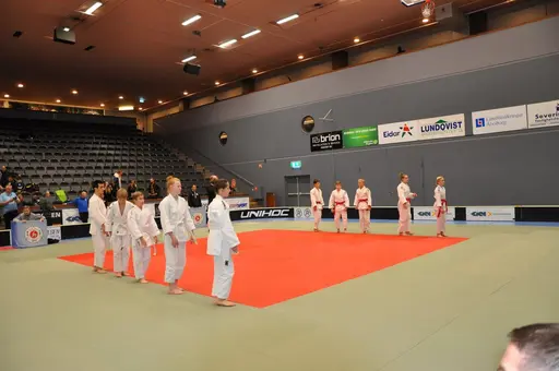 fotografierna är fria att delas/användas för privat bruk samt i judosammanhag dock ej för kommersiellt bruk.