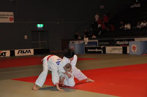 fotografierna är fria att delas/användas för privat bruk samt i judosammanhag dock ej för kommersiellt bruk.