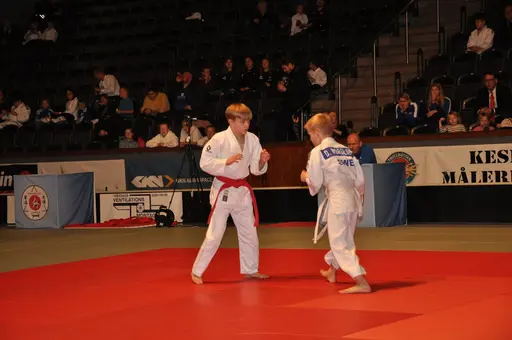 fotografierna är fria att delas/användas för privat bruk samt i judosammanhag dock ej för kommersiellt bruk.