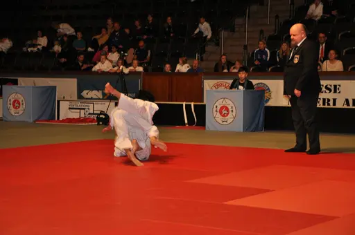 fotografierna är fria att delas/användas för privat bruk samt i judosammanhag dock ej för kommersiellt bruk.
