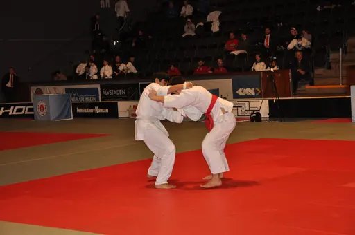 fotografierna är fria att delas/användas för privat bruk samt i judosammanhag dock ej för kommersiellt bruk.