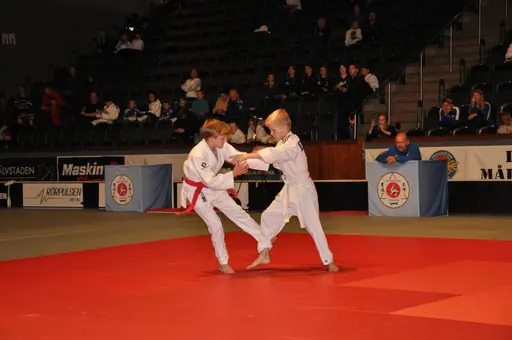 fotografierna är fria att delas/användas för privat bruk samt i judosammanhag dock ej för kommersiellt bruk.
