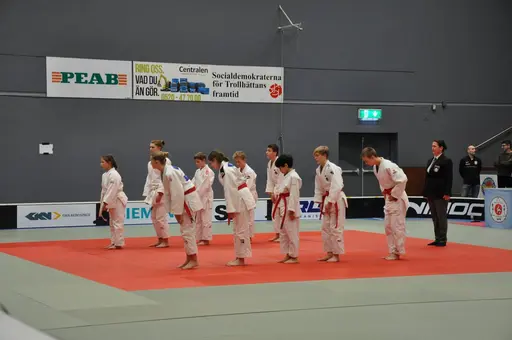 fotografierna är fria att delas/användas för privat bruk samt i judosammanhag dock ej för kommersiellt bruk.