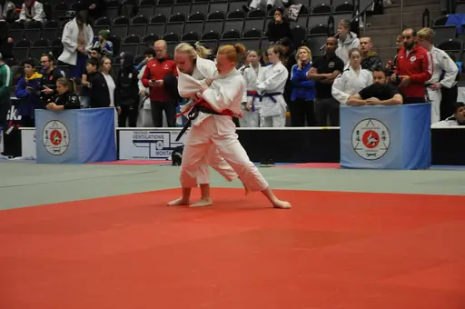 fotografierna är fria att delas/användas för privat bruk samt i judosammanhag dock ej för kommersiellt bruk.