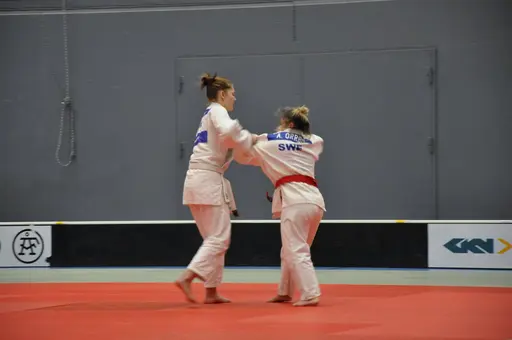 fotografierna är fria att delas/användas för privat bruk samt i judosammanhag dock ej för kommersiellt bruk.