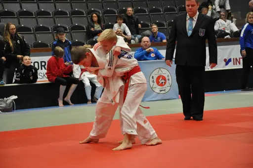 fotografierna är fria att delas/användas för privat bruk samt i judosammanhag dock ej för kommersiellt bruk.