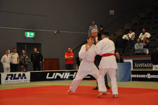 fotografierna är fria att delas/användas för privat bruk samt i judosammanhag dock ej för kommersiellt bruk.
