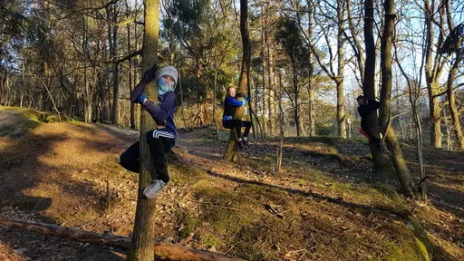 Trädkramare i farten