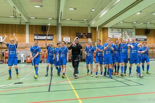Skånska mästare 2018 P16 Munka Ljungby IBK