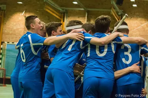 Skånska mästare 2018 P16 Munka Ljungby IBK