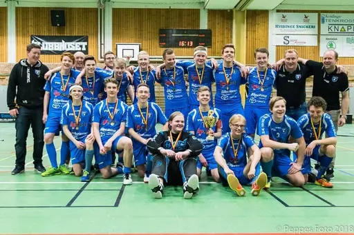 Skånska mästare 2018 P16 Munka Ljungby IBK