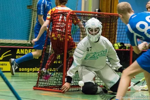 Skånska mästare 2018 P16 Munka Ljungby IBK