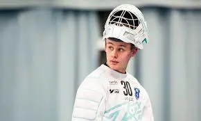 Bild från hd.se