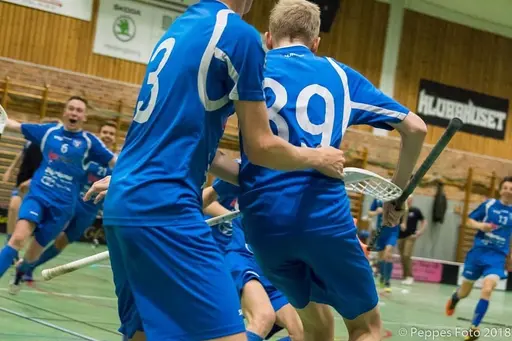 Skånska mästare 2018 P16 Munka Ljungby IBK