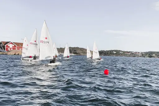 Bilder av Cecilia Fektenberg och Mayra Caldiz