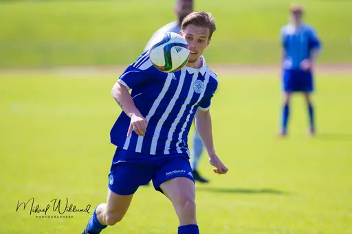 Hörna, Richie Tumba Kalenda, Markus Blomquist, Max Whitman straff