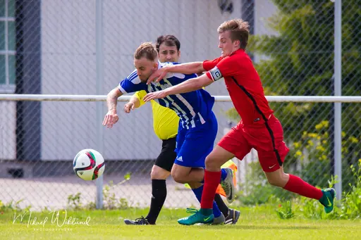 Djursholm 10/6