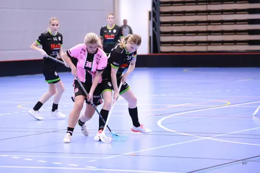 Foto: Kenneth Fridström.