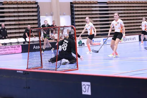 Foto: Kenneth Fridström.