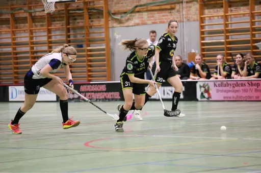 Foto: Kenneth Fridström