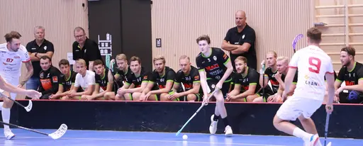 Foto: Kenneth Fridström