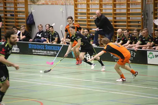 Foto Kenneth Fridström